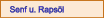 Senf u. Rapsöl